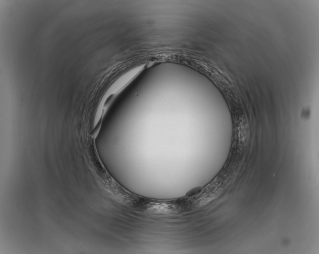 X0000096990611200802291210