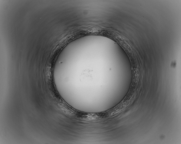 X0000096990612200802291210