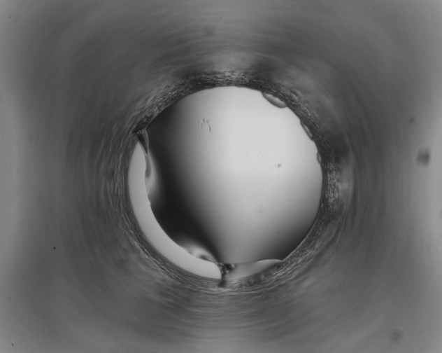 X0000096990613200802291210