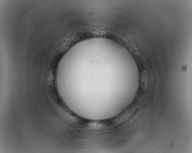 X0000096990614200802291210