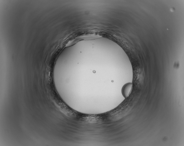 X0000096990615200802291210