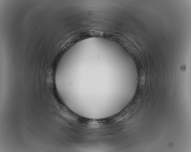 X0000096990616200802291210