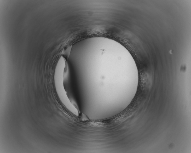 X0000096990617200802291210