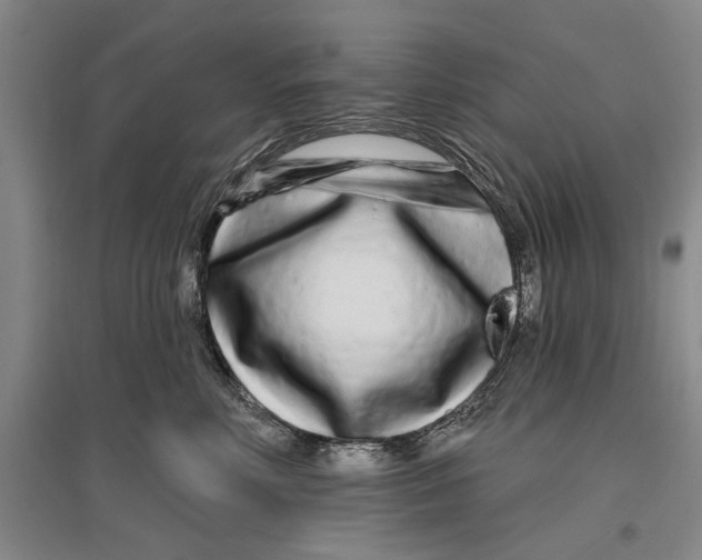 X0000096990618200802291210