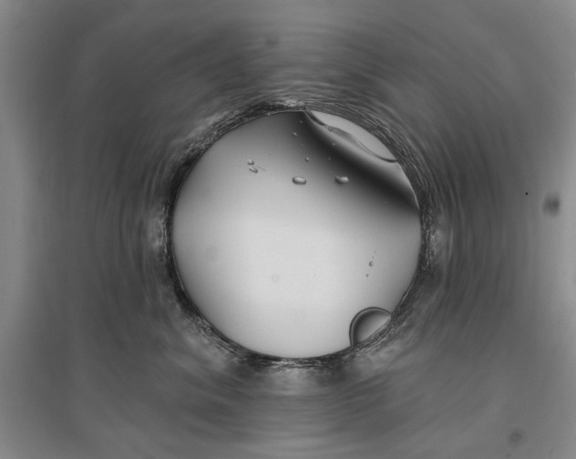 X0000096990620200802291210