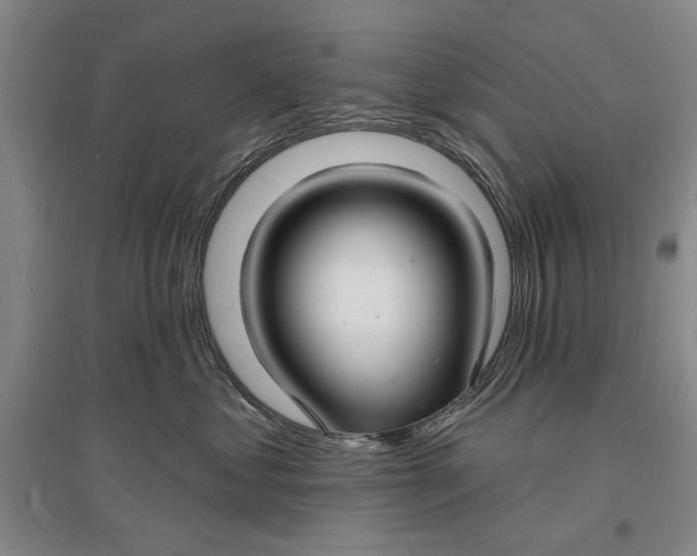 X0000096990621200802291210