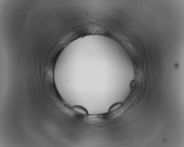 X0000096990622200802291210