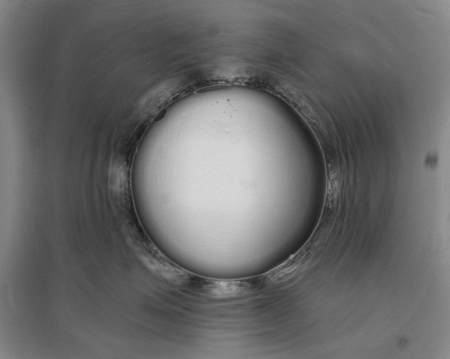 X0000096990623200802291210