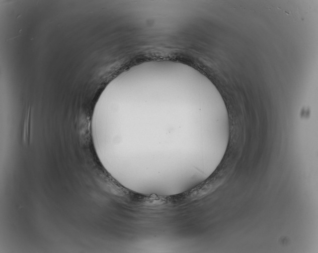 X0000096990624200802291210