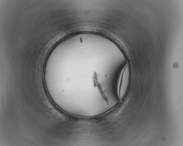 X0000096990625200802291210