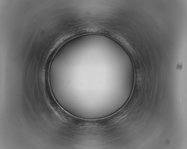 X0000096990626200802291210