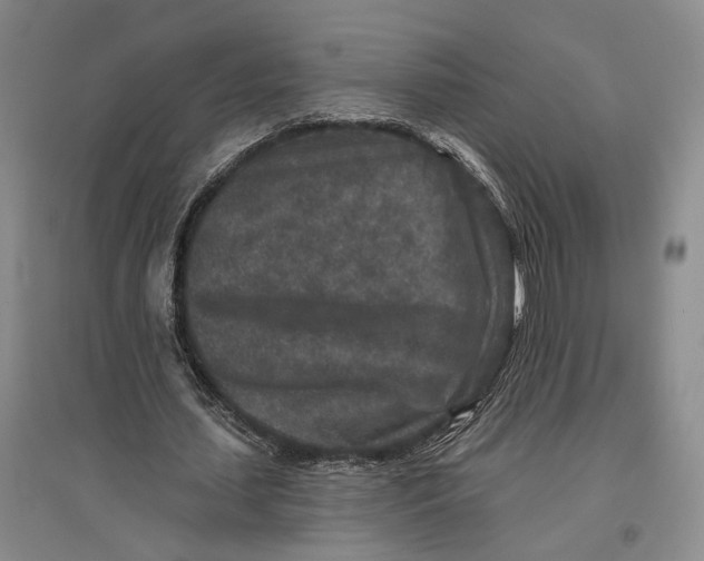 X0000096990627200802291210