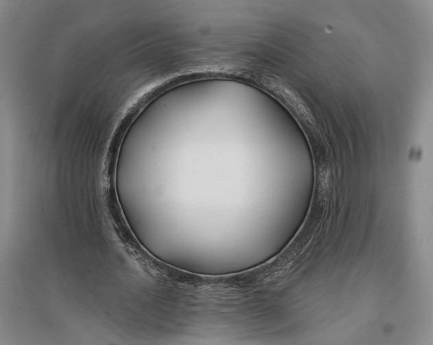 X0000096990628200802291210