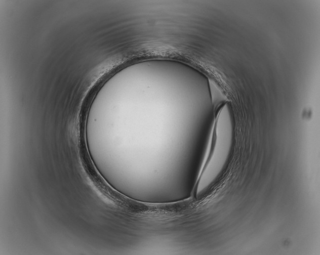 X0000096990630200802291210