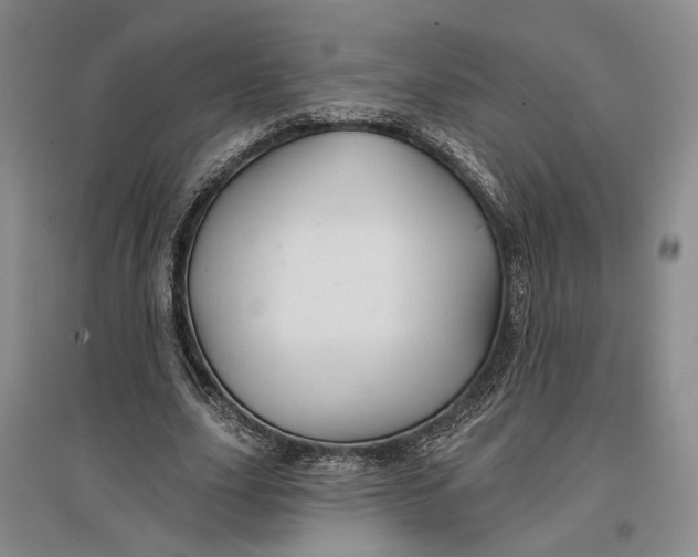 X0000096990631200802291210