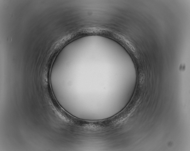 X0000096990633200802291210