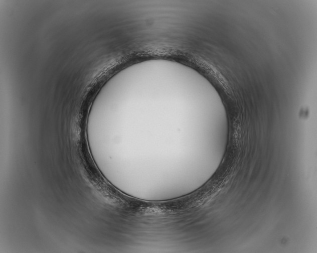 X0000096990635200802291210