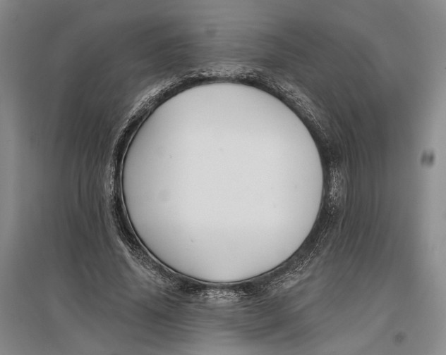 X0000096990636200802291210