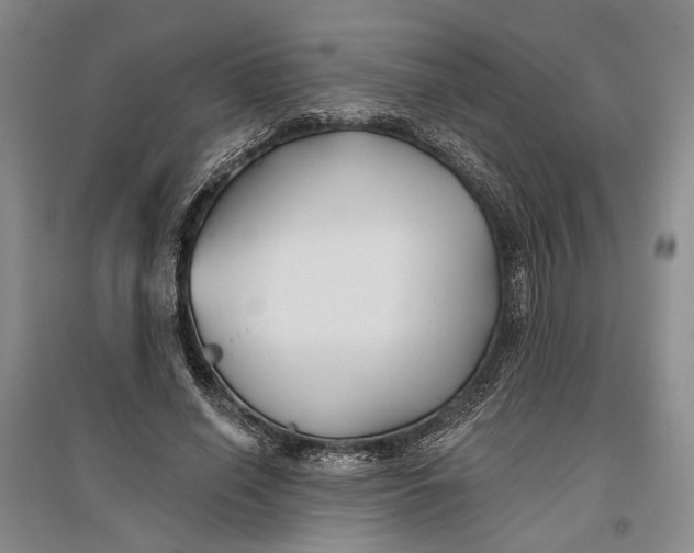 X0000096990638200802291210