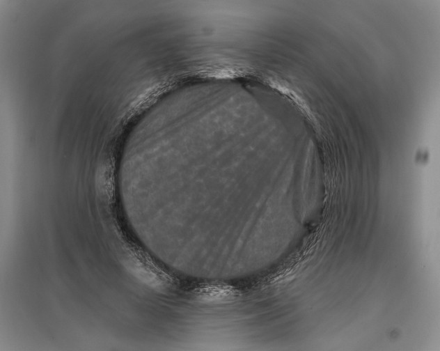 X0000096990642200802291210