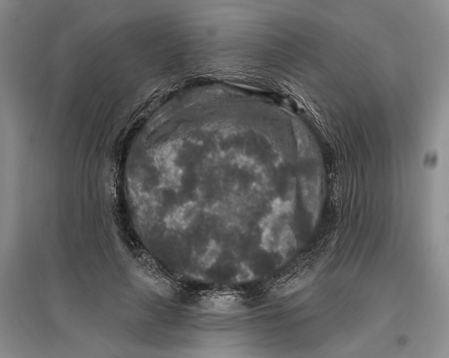 X0000096990643200802291210