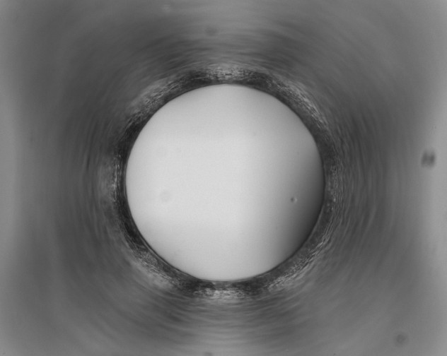 X0000096990645200802291210