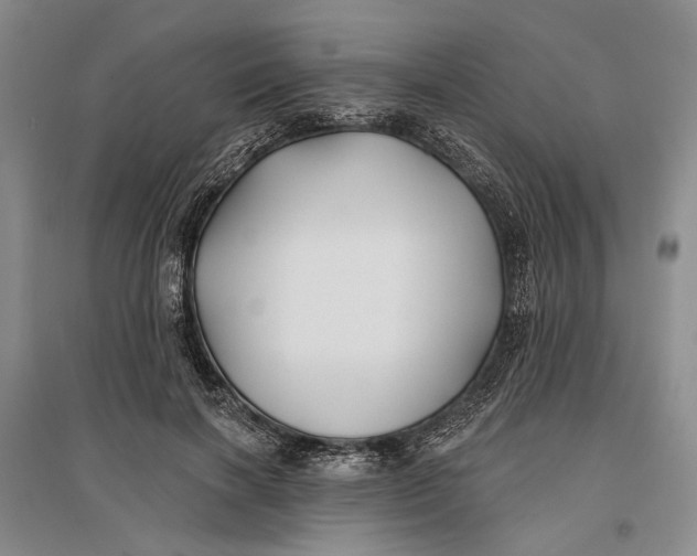 X0000096990646200802291210