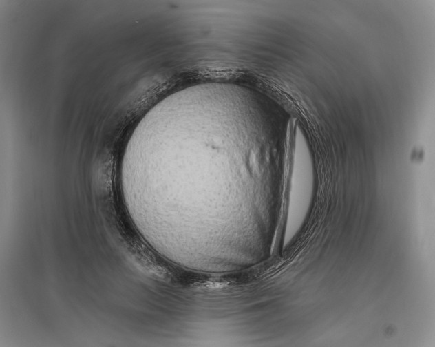 X0000096990647200802291210