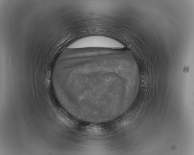 X0000096990648200802291210