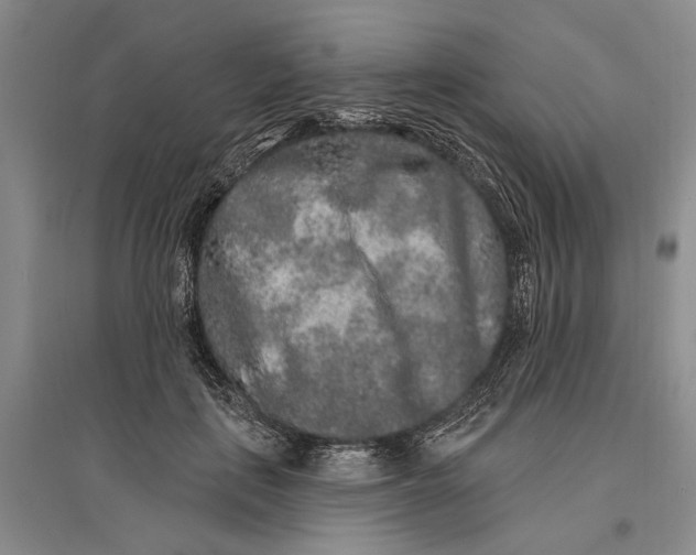 X0000096990651200802291210