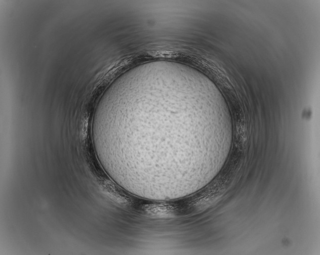 X0000096990652200802291210