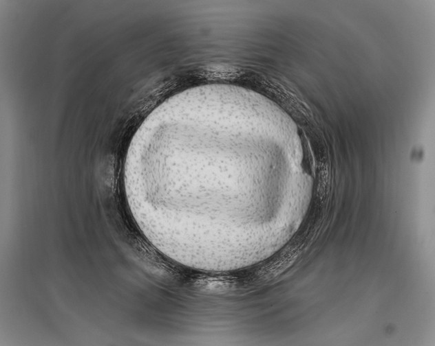 X0000096990655200802291210