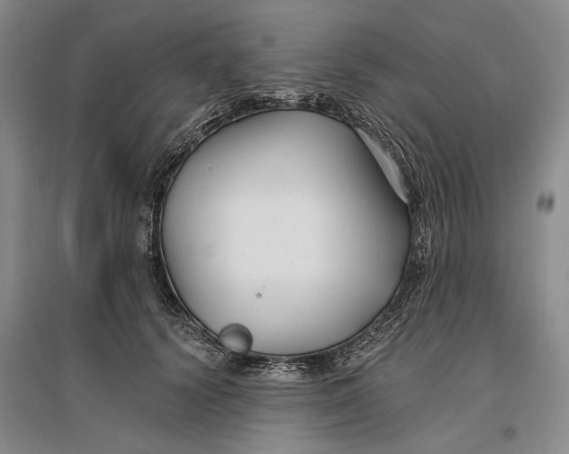 X0000096990656200802291210