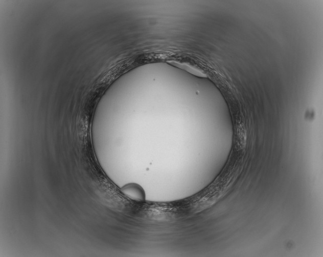 X0000096990657200802291210