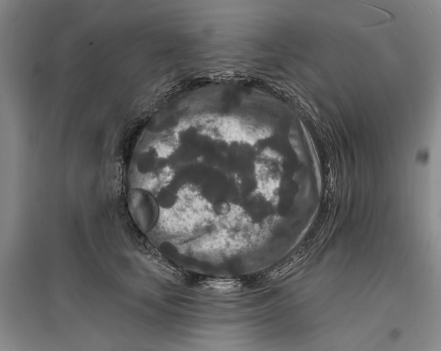 X0000096990659200802291210