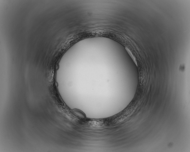 X0000096990660200802291210