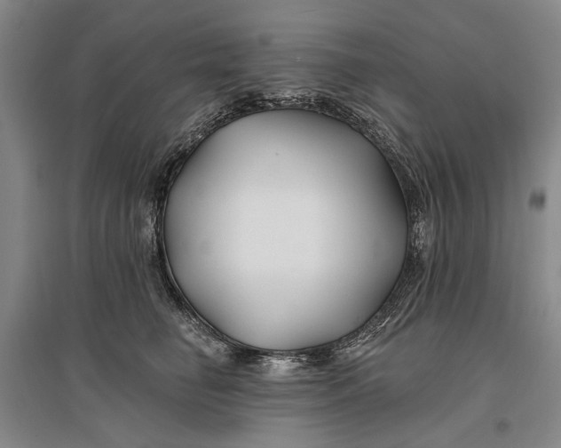 X0000096990662200802291210