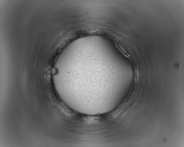 X0000096990664200802291210