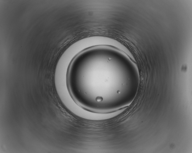 X0000096990665200802291210