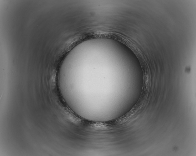 X0000096990668200802291210