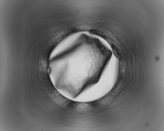 X0000096990669200802291210