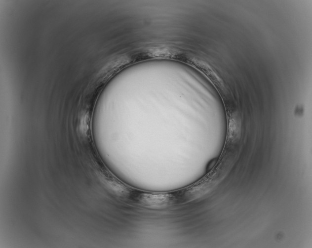 X0000096990671200802291210