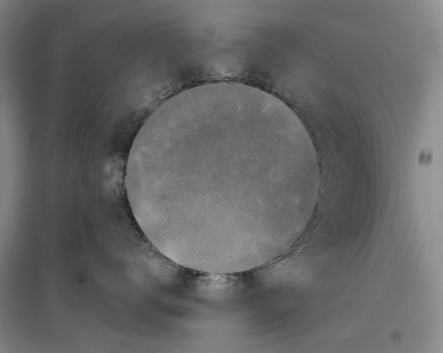 X0000096990672200802291210