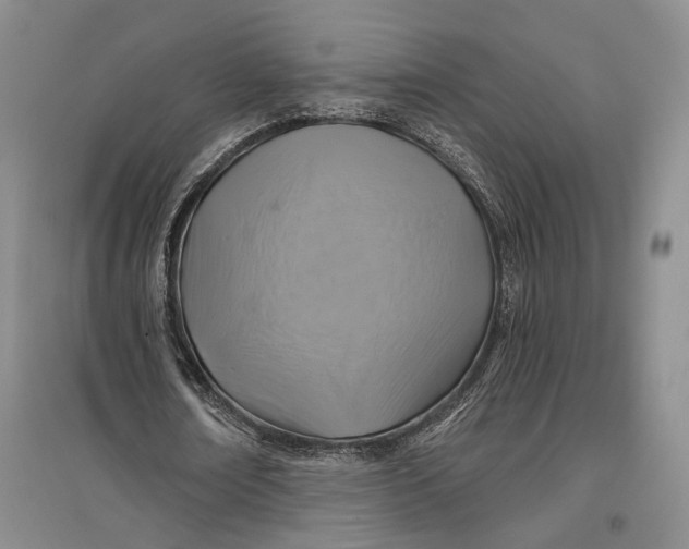 X0000096990674200802291210