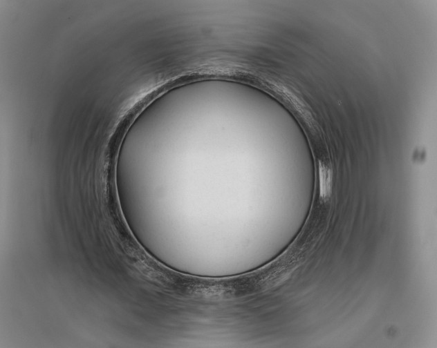 X0000096990675200802291210