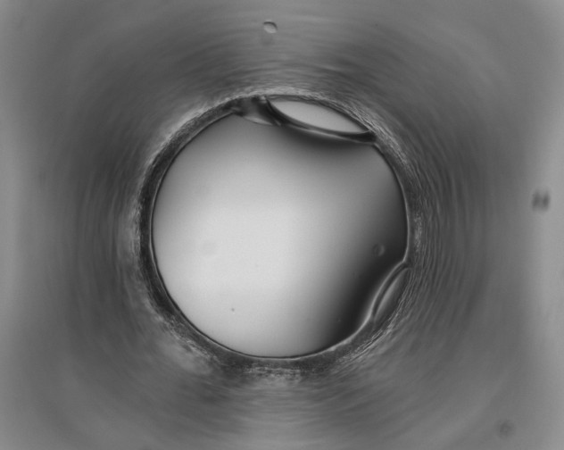 X0000096990676200802291210