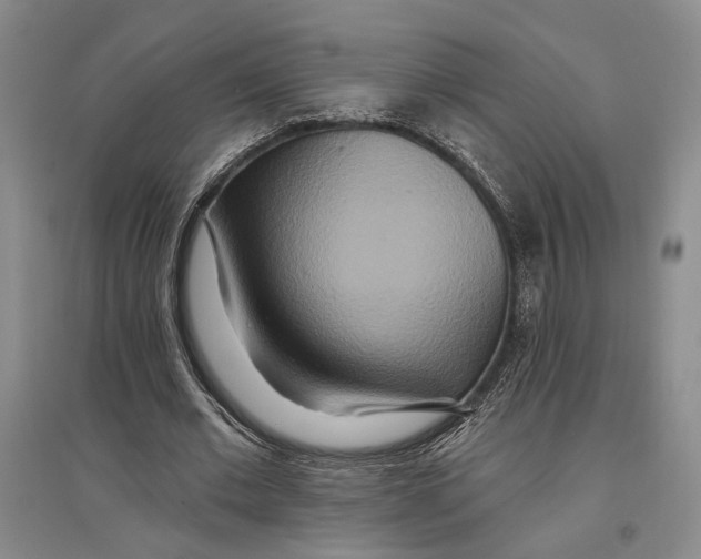 X0000096990677200802291210