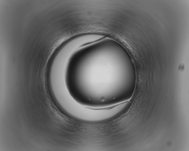 X0000096990679200802291209