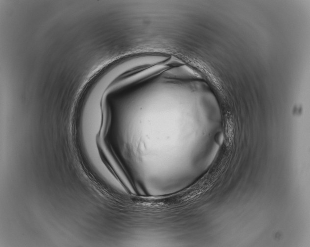 X0000096990680200802291209