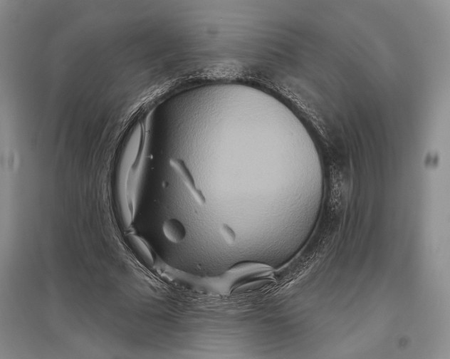 X0000096990681200802291209